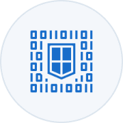 Encryption and Decryption Capabilities